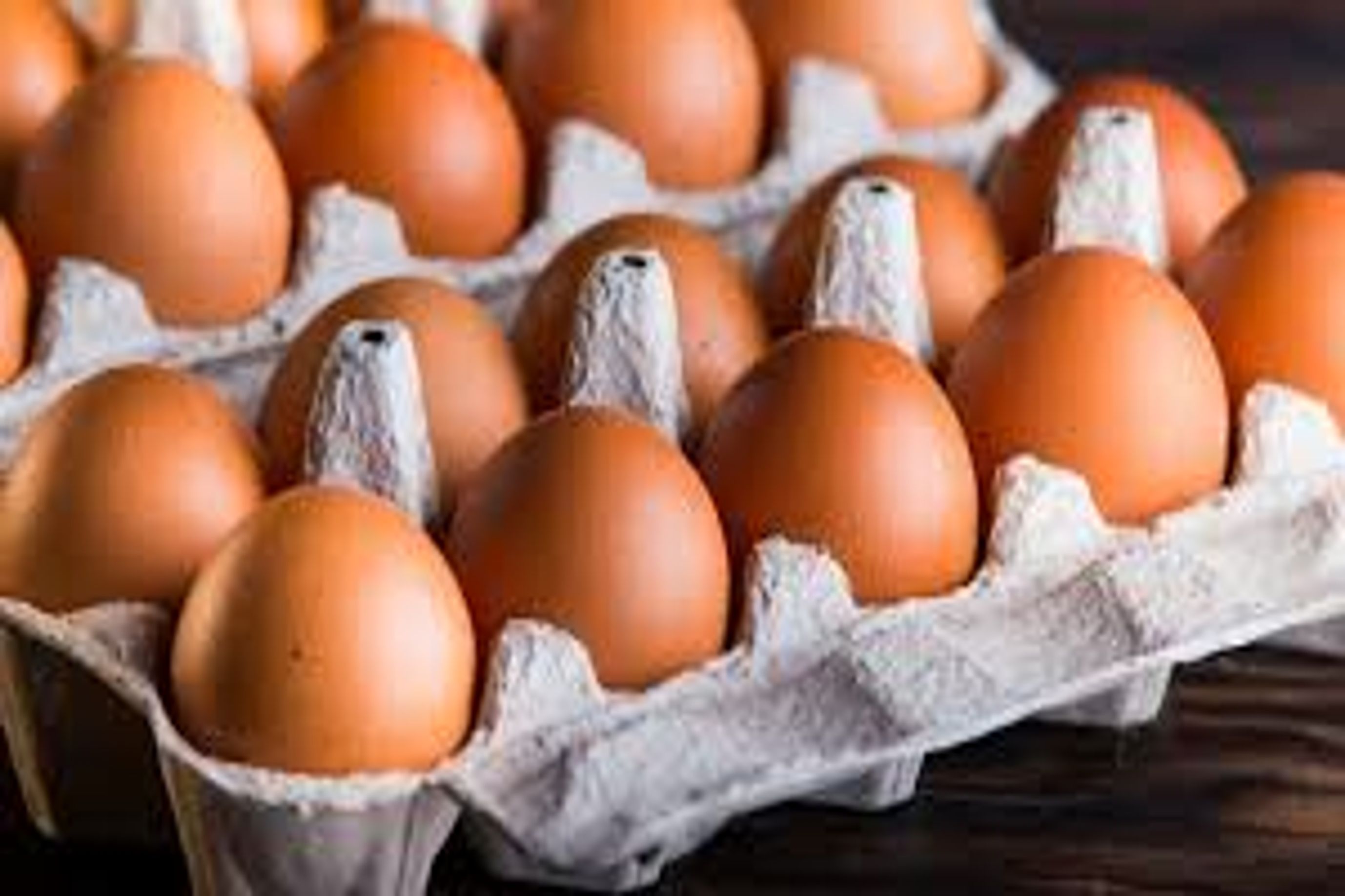 Eggs